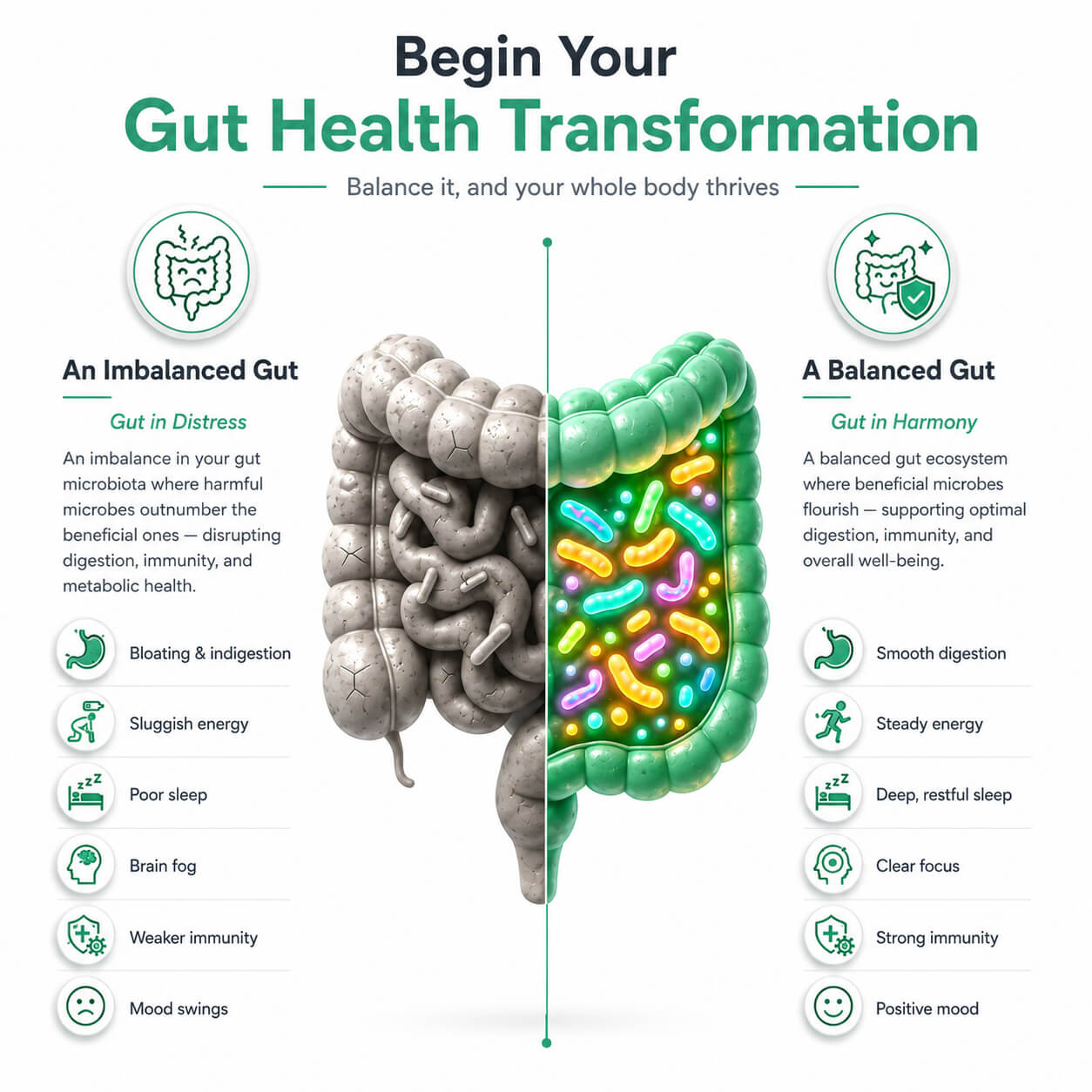 Begin Your Gut Health Transformation