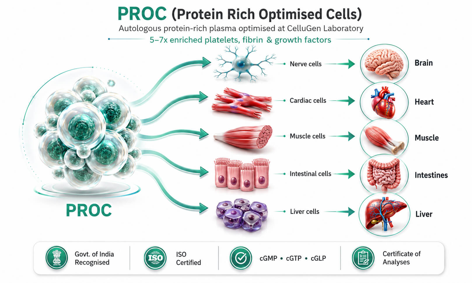 What is Regenerative Cell Therapy?